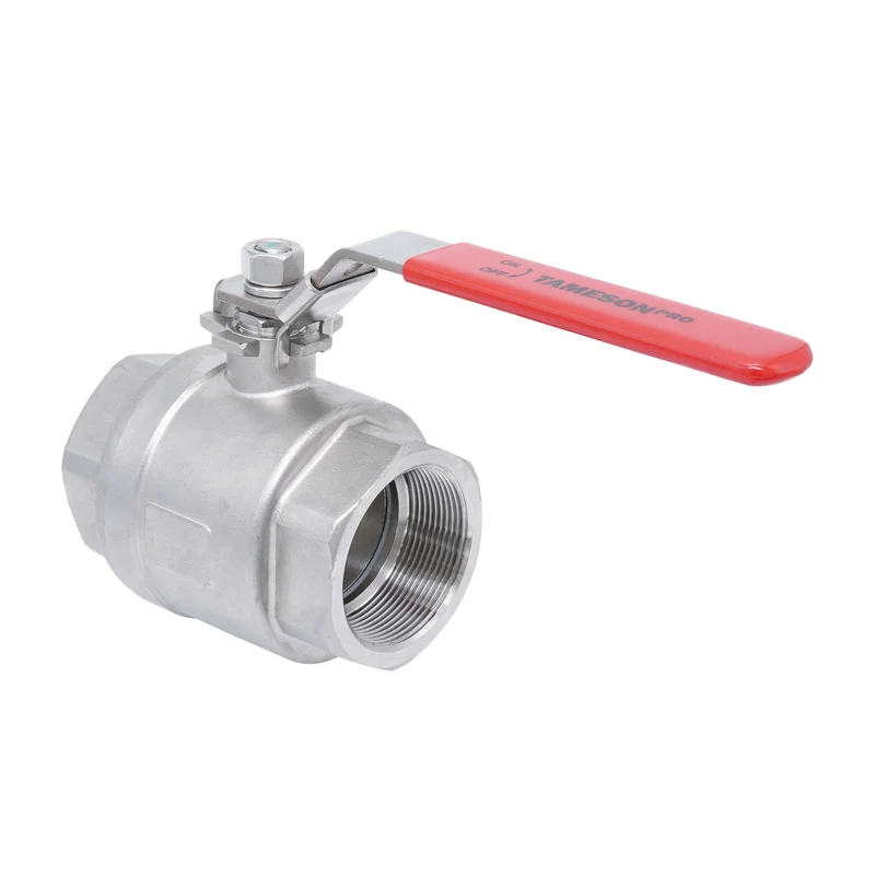 Rp 2'' F/F Vanne à bille 2 voies 2 pièces en acier inoxydable 69 bar RTFE - TamesonPRO 1111-200