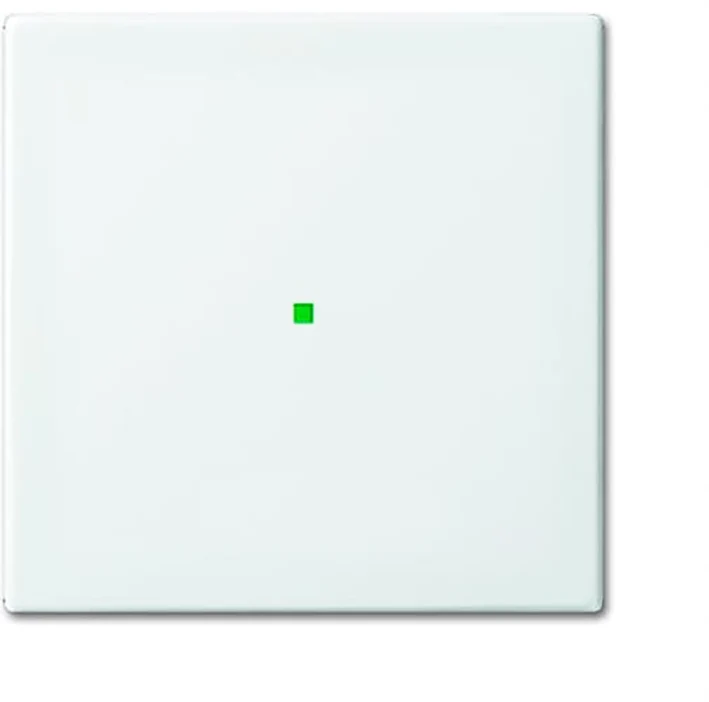 ABB Busch-Jaeger Busch-FreeAtHome Control Element/Central Plate Switchgear - 2CKA006220A0355 [2 Pieces] (en anglais)