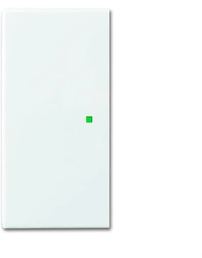 ABB Busch-Jaeger Busch-FreeAtHome Control Element/Central Plate Switchgear - 2CKA006220A0360 [2 Pieces]