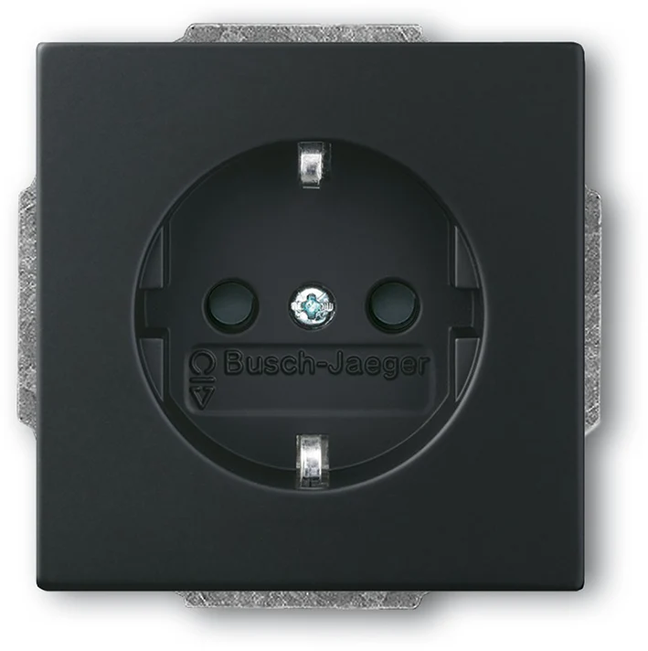 ABB Busch-Jaeger Wall Outlet (WCD Switchgear) - 2CKA002013A5454