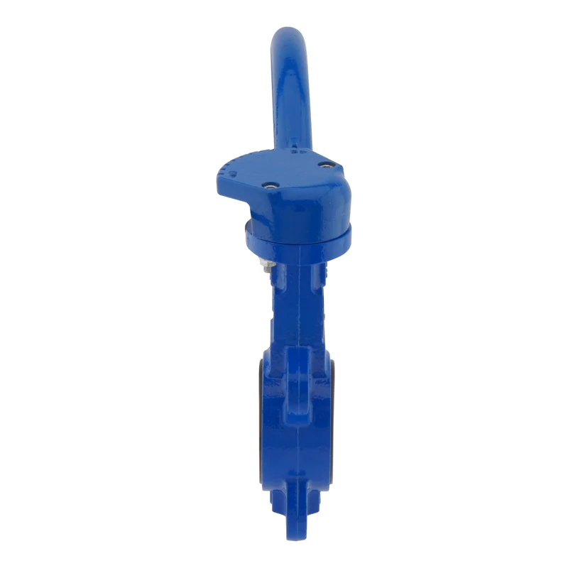 Vanne papillon DN65 (2-1/2 pouces) PN16 GGG40-Acier inoxydable-EPDM