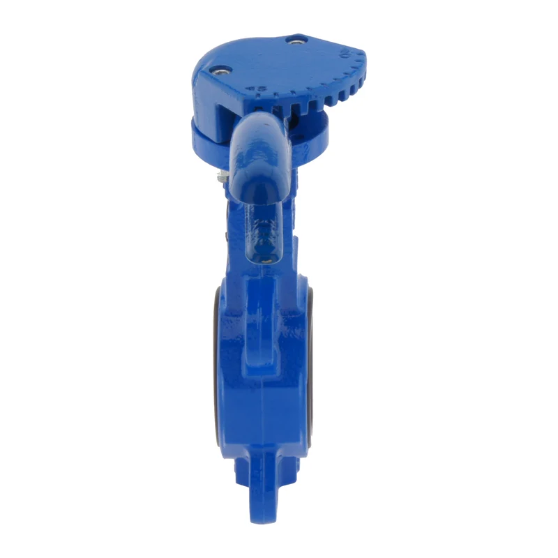 Vanne papillon DN65 (2-1/2 pouces) PN16 GGG40-Acier inoxydable-EPDM