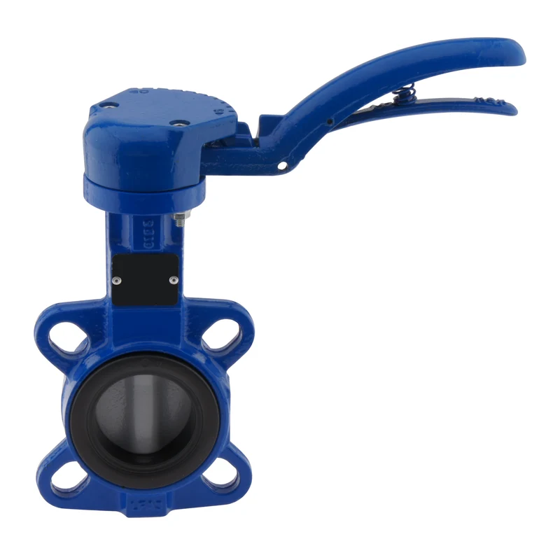 Vanne papillon DN65 (2-1/2 pouces) PN16 GGG40-Acier inoxydable-EPDM