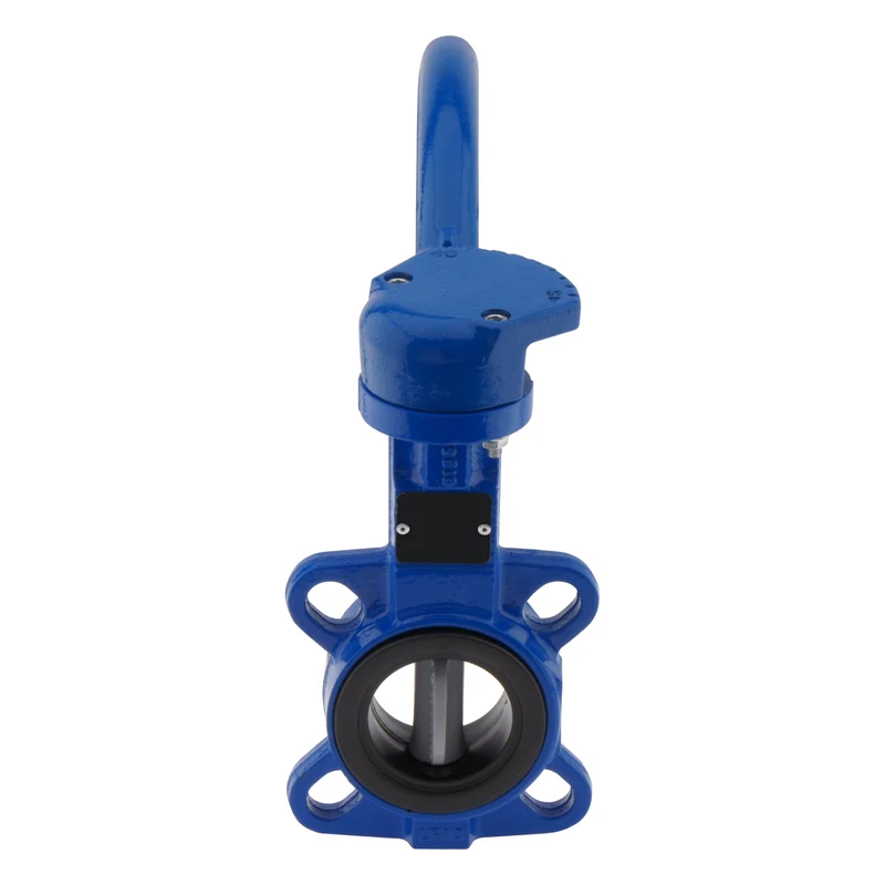 Vanne papillon DN65 (2-1/2 pouces) PN16 GGG40-Acier inoxydable-EPDM
