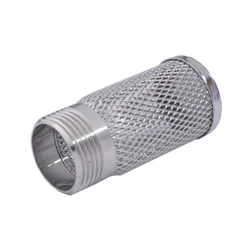 G 1'' Acier Inoxydable Filtre D'aspiration 1 Mm Mesh