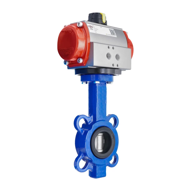 Vanne Papillon Pneumatique DN32 (1-1/4 Pouce) Lug Fonte Acier Inoxydable EPDM Ouverture Par Ressort