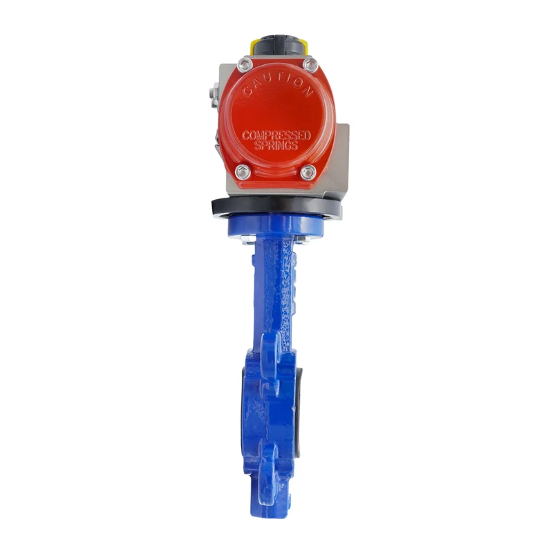 Vanne Papillon Pneumatique DN65 (2-1/2 Pouce) Lug Fonte GGG 40 EPDM Double Effet