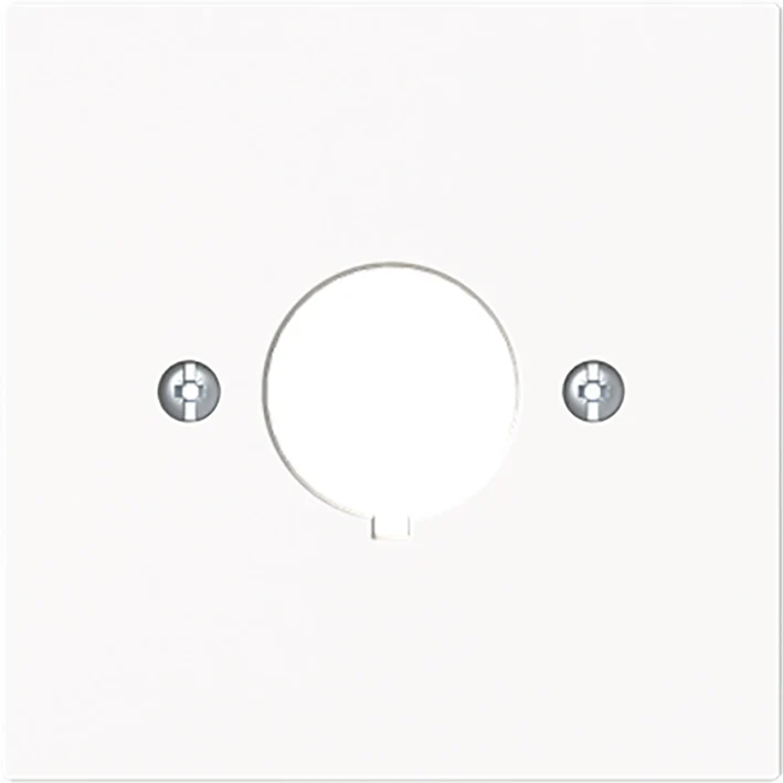 ABB Busch-Jaeger 22.5mm Plaque De Capot Central - 2CKA001724A4445