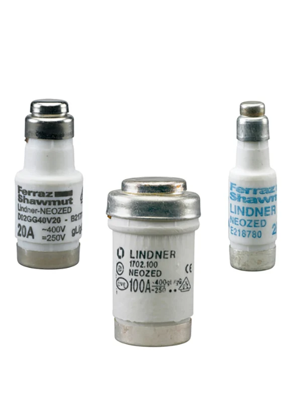 D02 Neozed 50A Fusible Lien 400VAC 250VDC GG Protection - D215191 [10 Pièces]