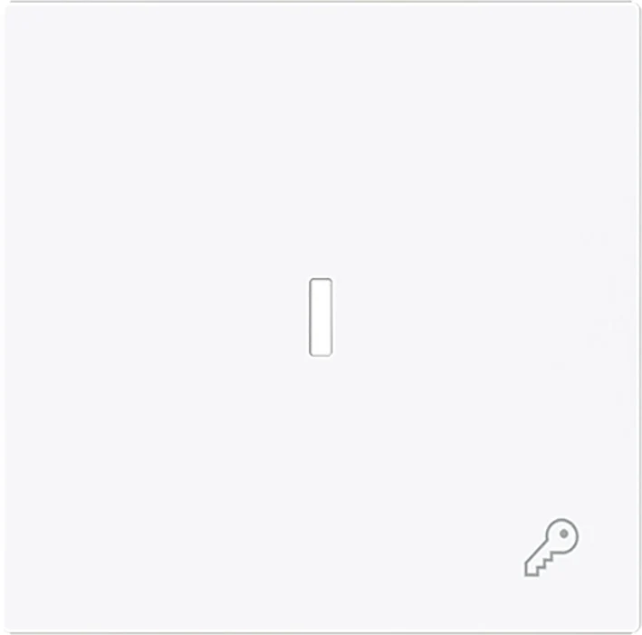 ABB Busch Interrupteur À Bascule Simple Avec Symbole De Clé Et Lentille - 2CKA001751A3377