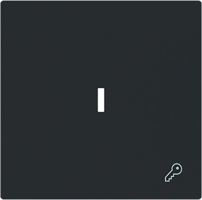 ABB Busch Clé Symbole Interrupteur À Bascule Capot Noir Mat - 2CKA001751A3380