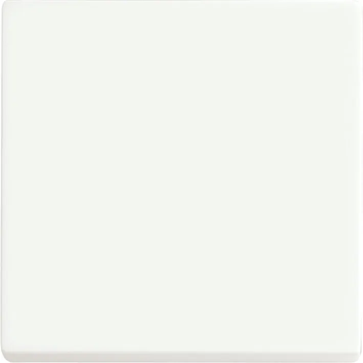 ABB Futur Interrupteur Linéaire Intelligent Panneau De Contrôle Mat Blanc - 2CKA006730A0149