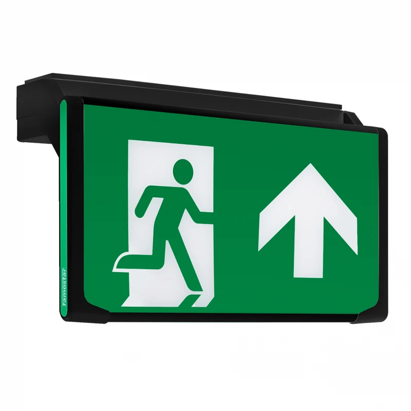D-Sign Cinéma Signal De Sortie De Secours Diminué - 393835