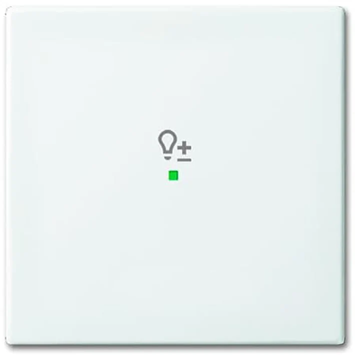 ABB Busch-Jaeger Busch-FreeAtHome Control Element/Central Plate Switchgear - 2CKA006220A0359 [2 Pieces] (en anglais)