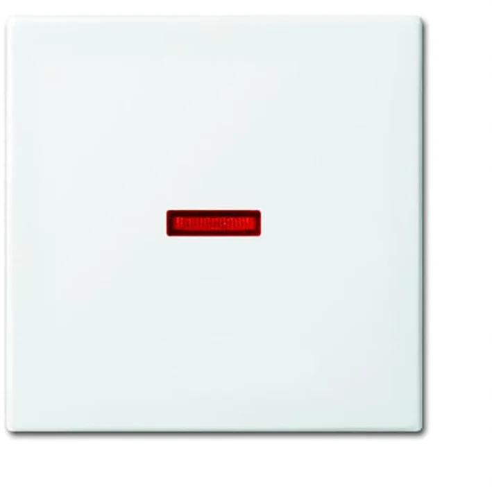 ABB Busch-Jaeger Control Element/Central Plate Switchgear - 2CKA001731A2016 [2 Pieces] (en anglais)