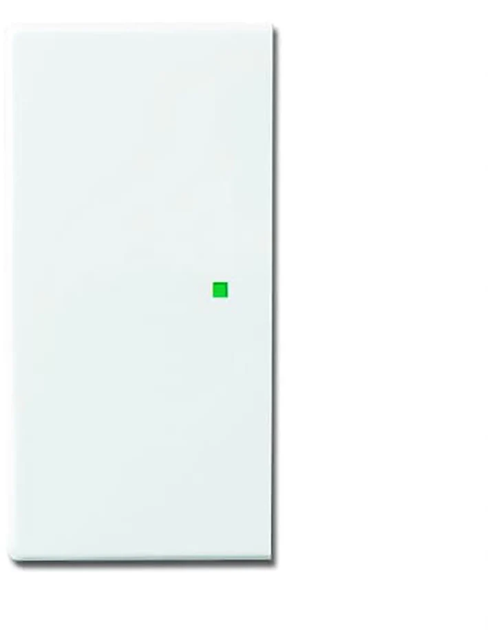 ABB Busch-Jaeger Busch-FreeAtHome Control Element/Central Plate Switchgear - 2CKA006220A0049 [2 Pieces]