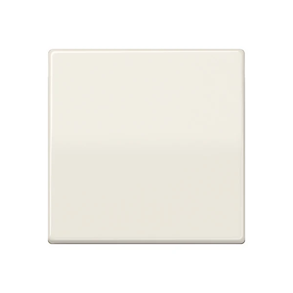 Jung AS500 Control Element/Central Plate Switchgear - AS591 [2 Pieces] (en anglais)