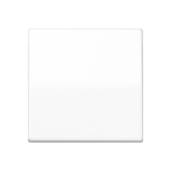 Jung AS500 Control Element/Central Plate Switchgear - AS591WW [2 Pieces] (anglais seulement)