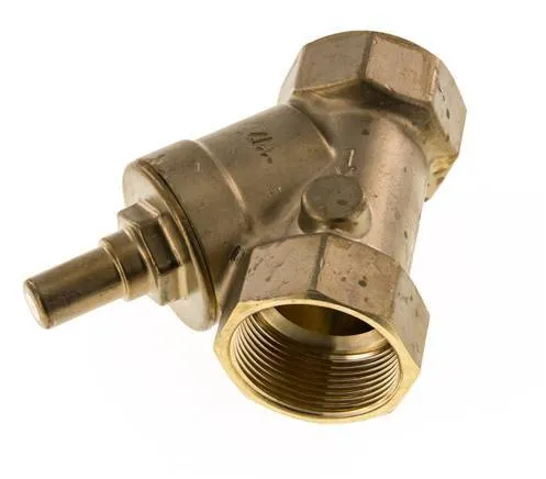 Rp 1-1/2'' Laiton Clapet Anti Retour En Y 10 Bar (145 Psi) FKM