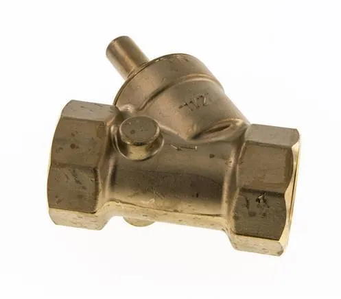 Rp 1-1/2'' Laiton Clapet Anti Retour En Y 10 Bar (145 Psi) FKM
