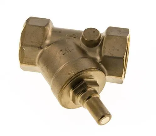 Rp 1-1/2'' Laiton Clapet Anti Retour En Y 10 Bar (145 Psi) FKM