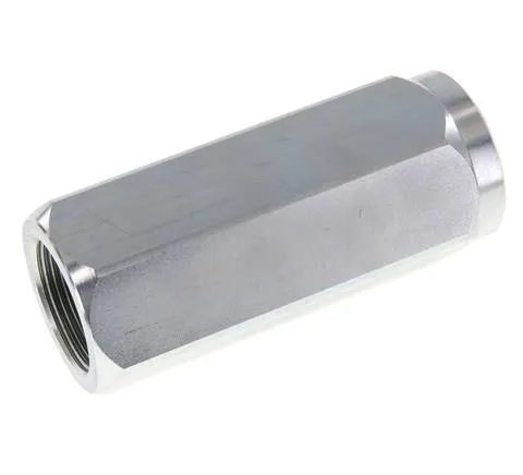 G 1-1/4'' Clapet Anti Retour Hydraulique Acier 5-300 Bar (72.5-4350 Psi)