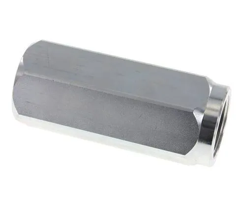 G 1-1/4'' Clapet Anti Retour Hydraulique Acier 5-300 Bar (72.5-4350 Psi)