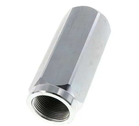 G 1-1/4'' Clapet Anti Retour Hydraulique Acier 5-300 Bar (72.5-4350 Psi)