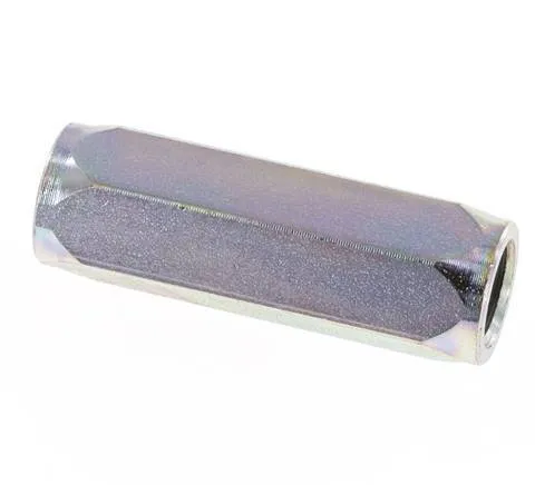 G 1/8'' Clapet Anti Retour Hydraulique Acier 0.4-350 Bar (5.8-5075 Psi)
