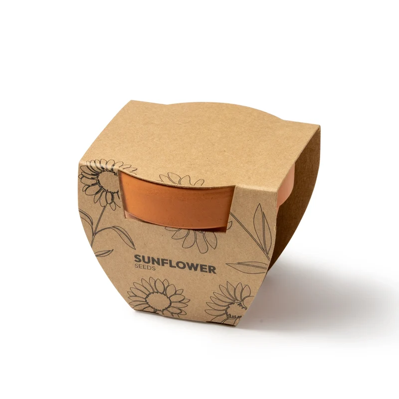 Kit de Plantation Tournesol - Pot en Terre Cuite et Graines