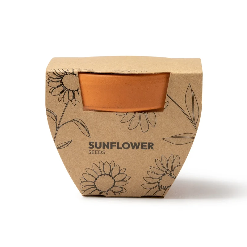 Kit de Plantation Tournesol - Pot en Terre Cuite et Graines