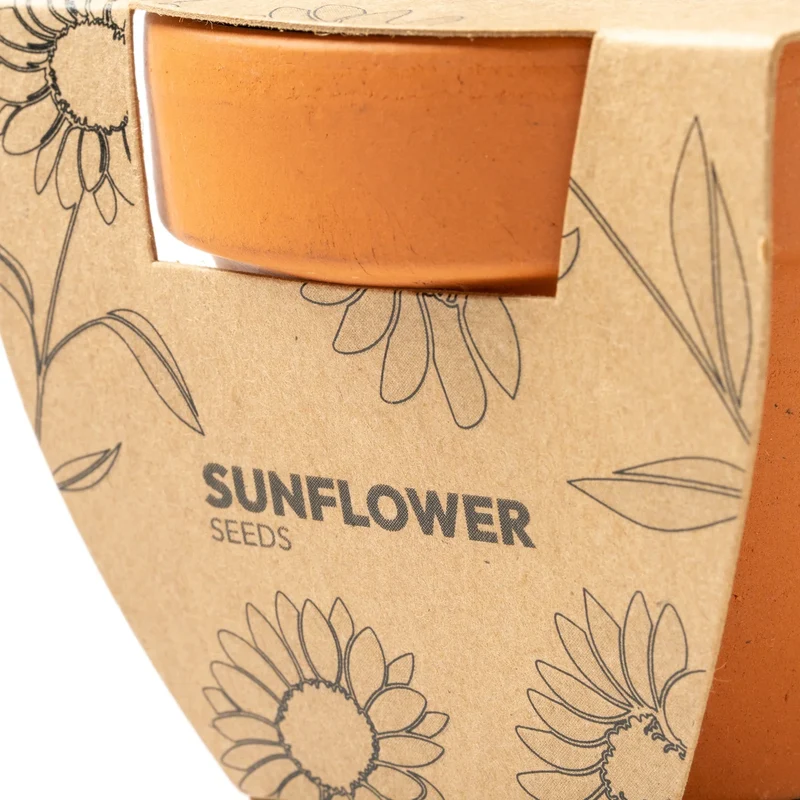 Kit de Plantation Tournesol - Pot en Terre Cuite et Graines