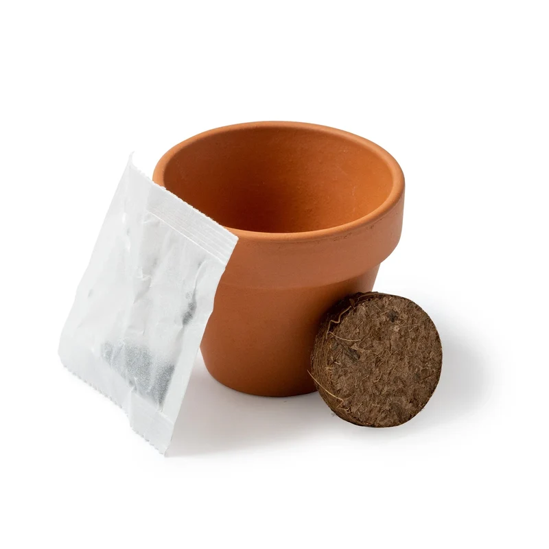 Kit de Plantation Tournesol - Pot en Terre Cuite et Graines