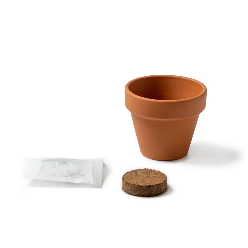 Kit de Plantation Tournesol - Pot en Terre Cuite et Graines