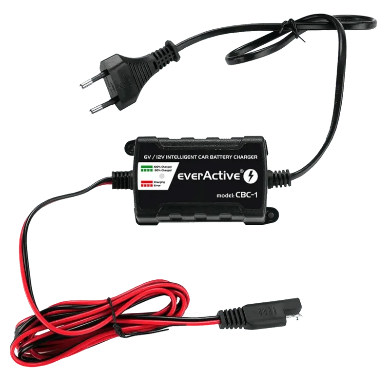 Chargeur intelligent pour batterie de véhicules 6V et 12V