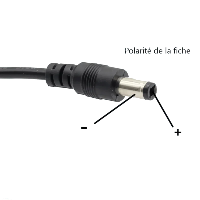 Alimentation 220v AC/DC 20v 2A