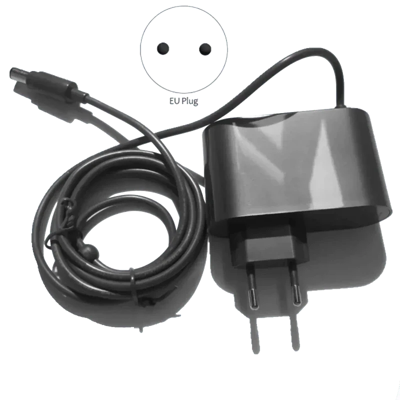 Chargeur pour aspirateur Dyson DC30