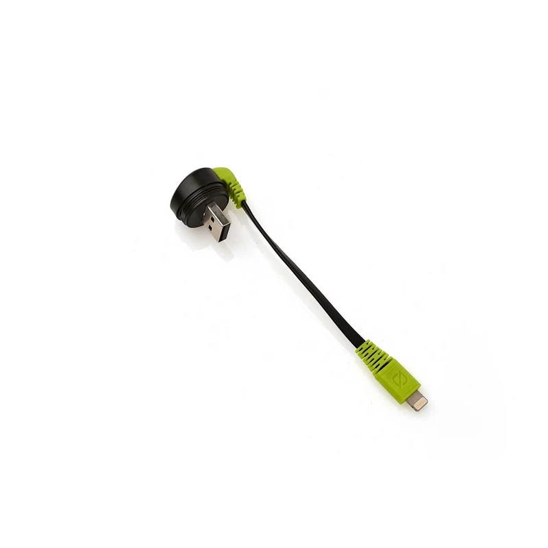 Switch 10 Lightning Cable