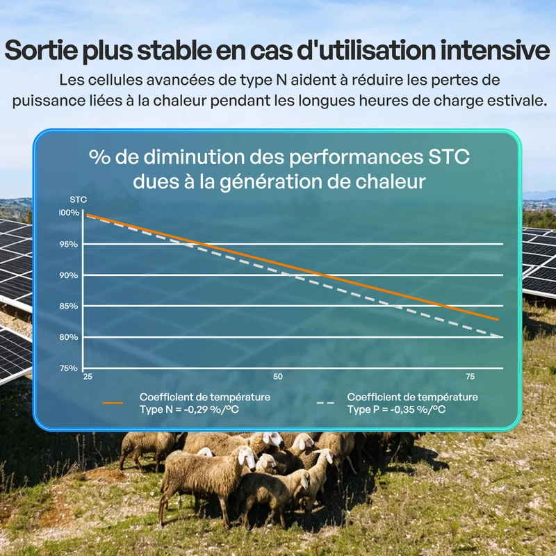 2x320W Panneau Solaire Bifacial N-Type