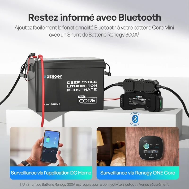 Core Mini – 12,8V 200Ah Batterie Lithium avec Protection Basse Température, Camping-Car, Off-Grid
