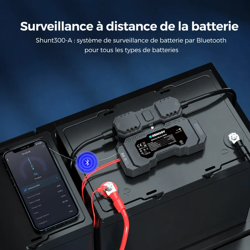 Core Mini - 12,8V 300Ah Batterie Lithium avec BMS, Puissante mais Compacte, Camping-Car, Van et Bateau