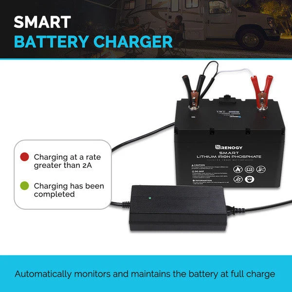 12V 20A AC-DC Chargeur de Batterie Lithium